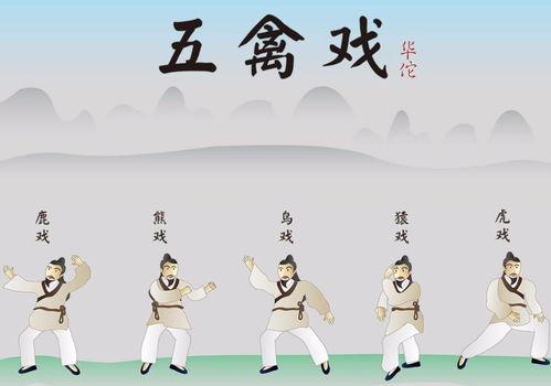 五禽戏教学视频完整版,完整版动作解析与养生秘诀