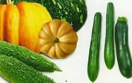 厨房吃瓜,美食盛宴尽享其中