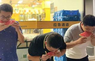 吃瓜群众作文开头,吃瓜群众视角下的娱乐圈风云